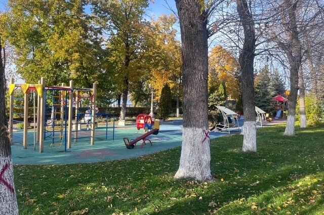    Фото: АиФ в Самаре/ Яков Костюшко