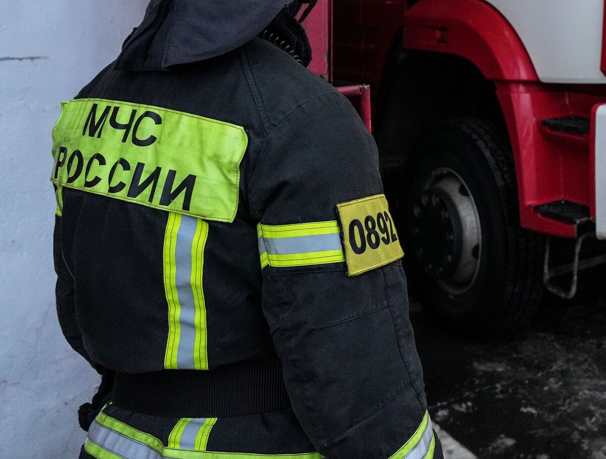     / Источник: © ИЗВЕСТИЯ/Дмитрий Коротаев