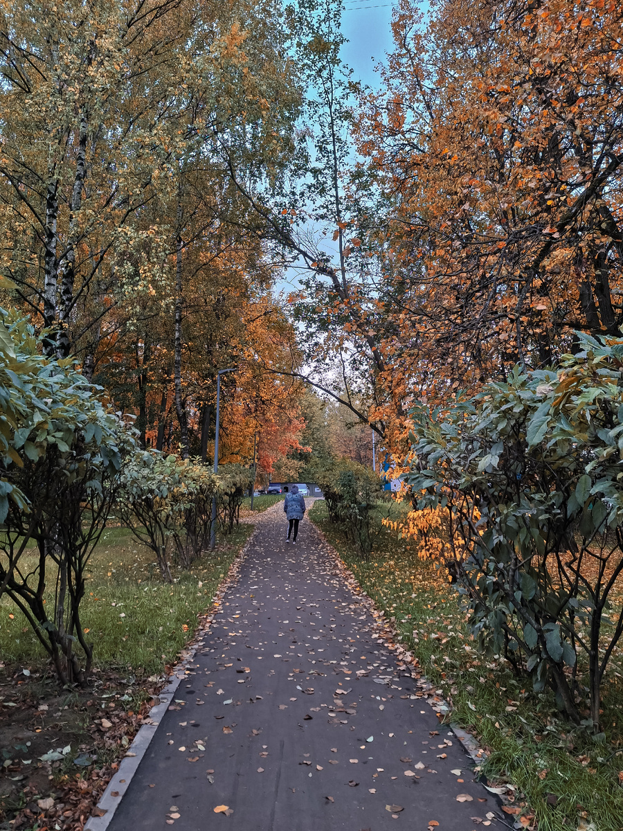 Это не далеко от дома, дворы