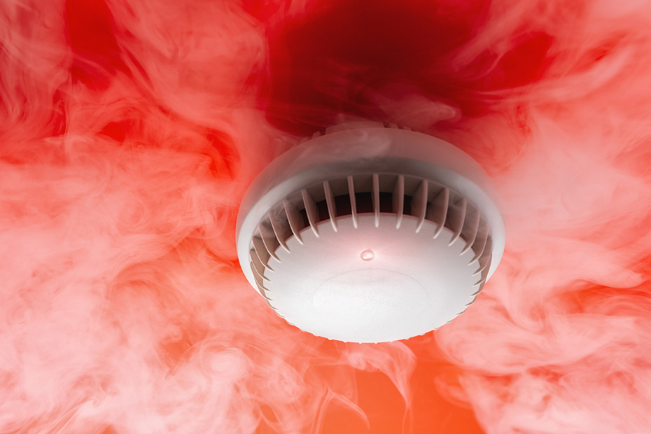    Shutterstock/FOTODOM