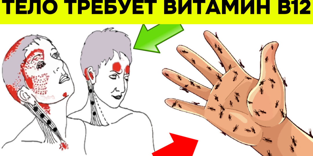 Витамин В12: 10 сигналов тела, которые опасно игнорировать