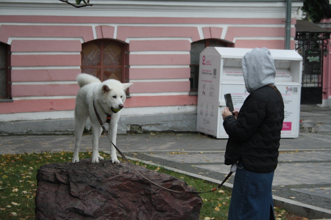 Создать карусель