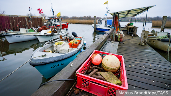     Фото: Marcus Brandt/dpa/TASS   
 Текст: Денис Тельманов