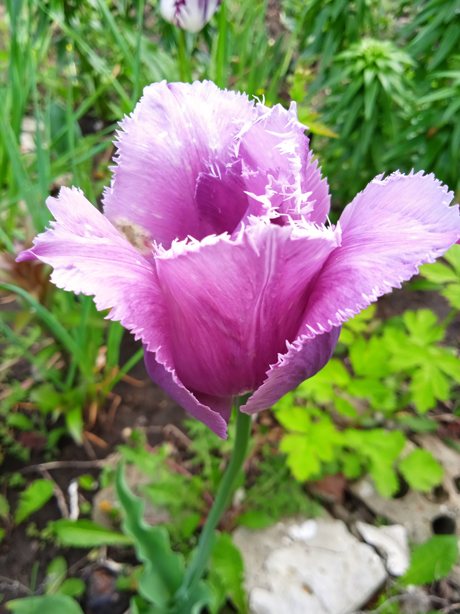 Фото автора канала. 