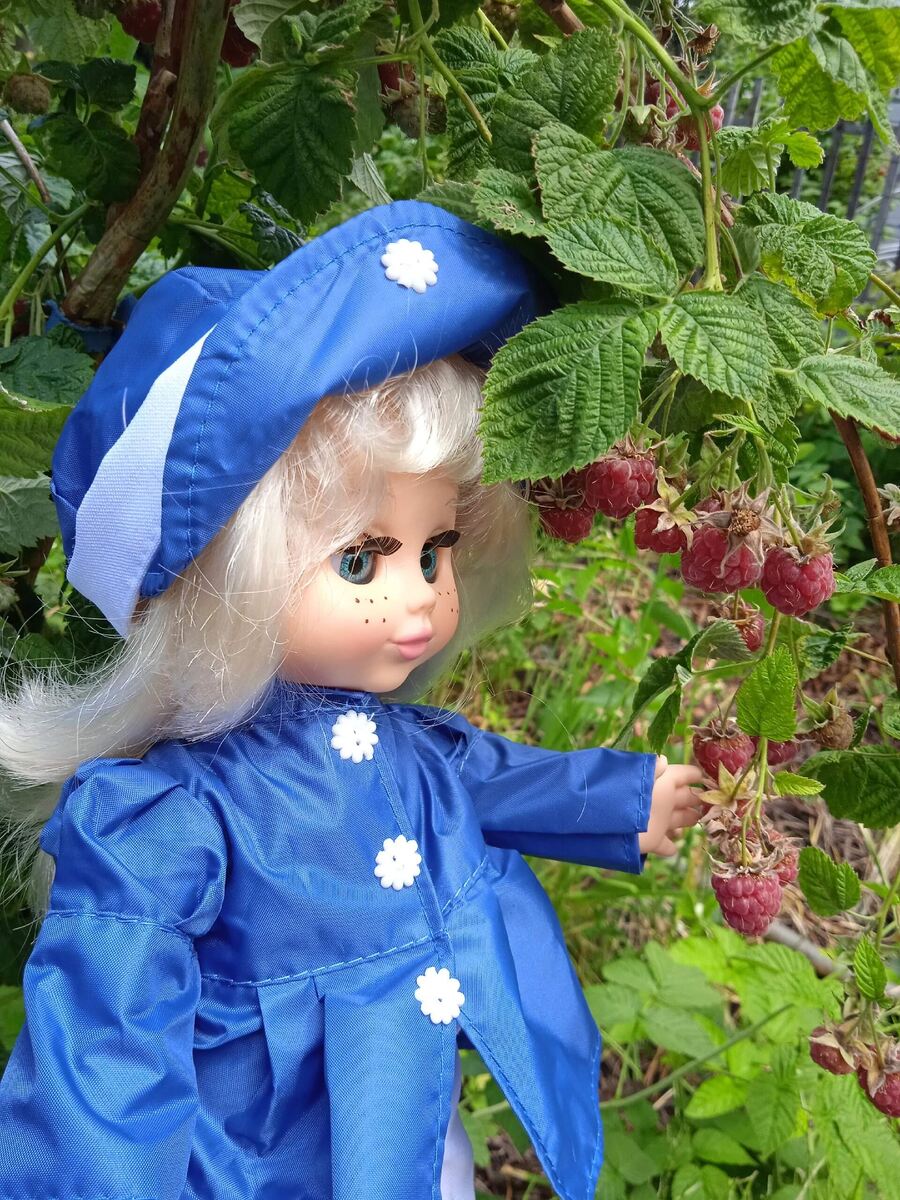 Фото автора канала. 