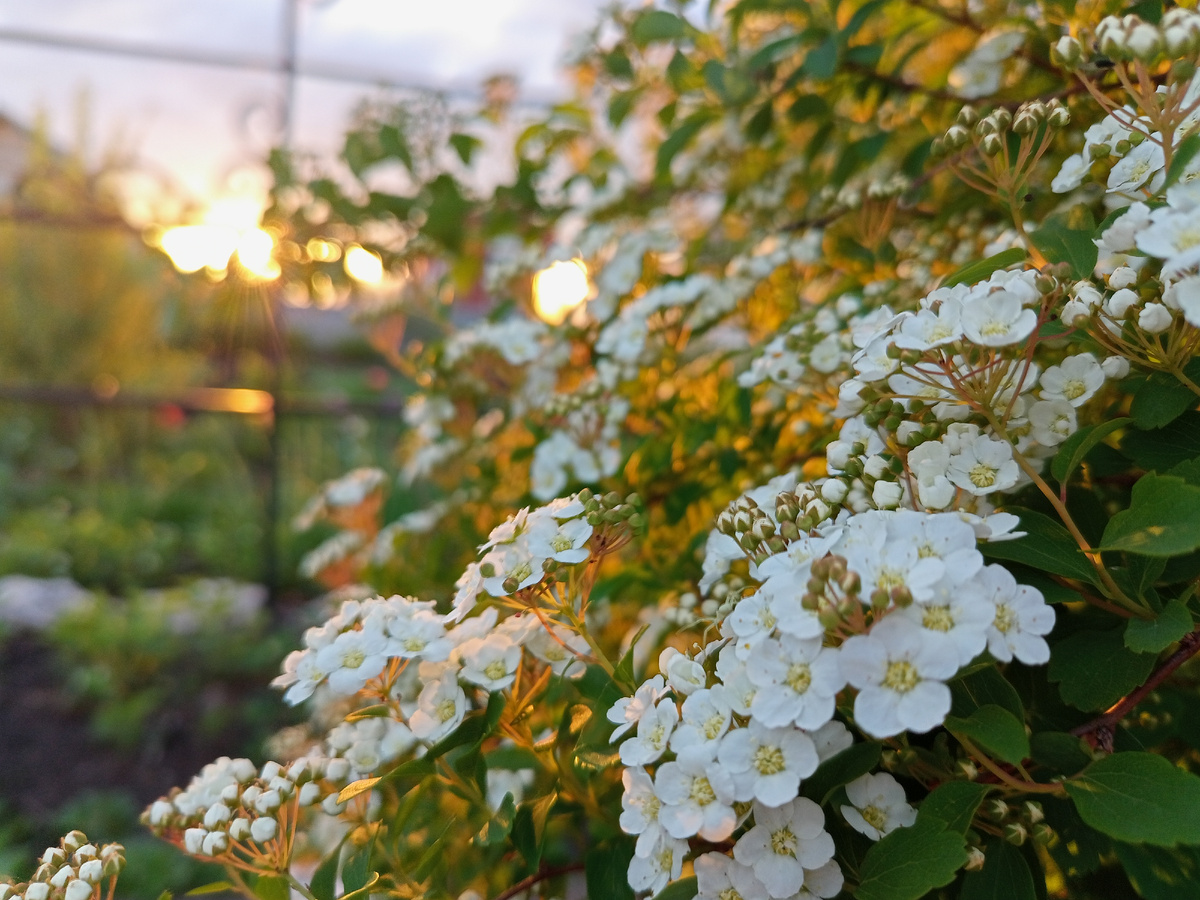 На закате особенно хороша 