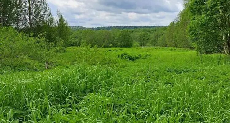    Единый портал торгов МО ЕАСУЗ