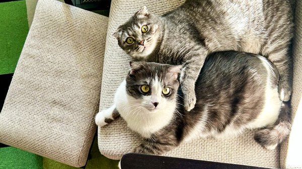     Фото: Polozovsky   
 Текст: Татьяна Косолапова