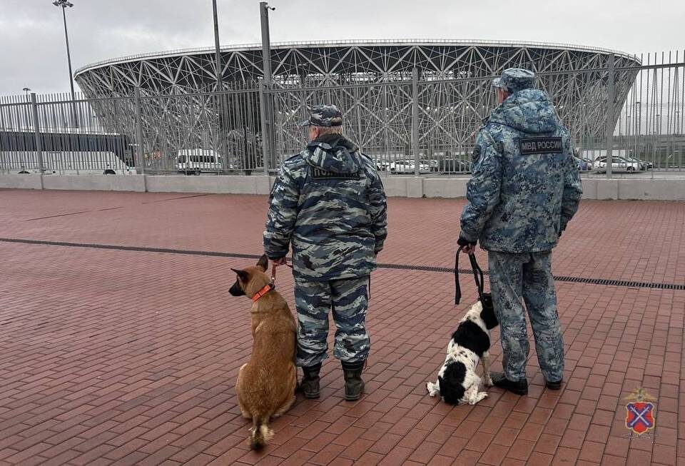    Фото: ГУ МВД по Волгоградской области