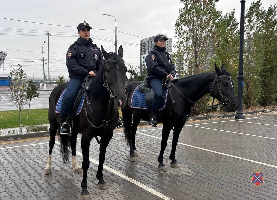    Фото: ГУ МВД по Волгоградской области