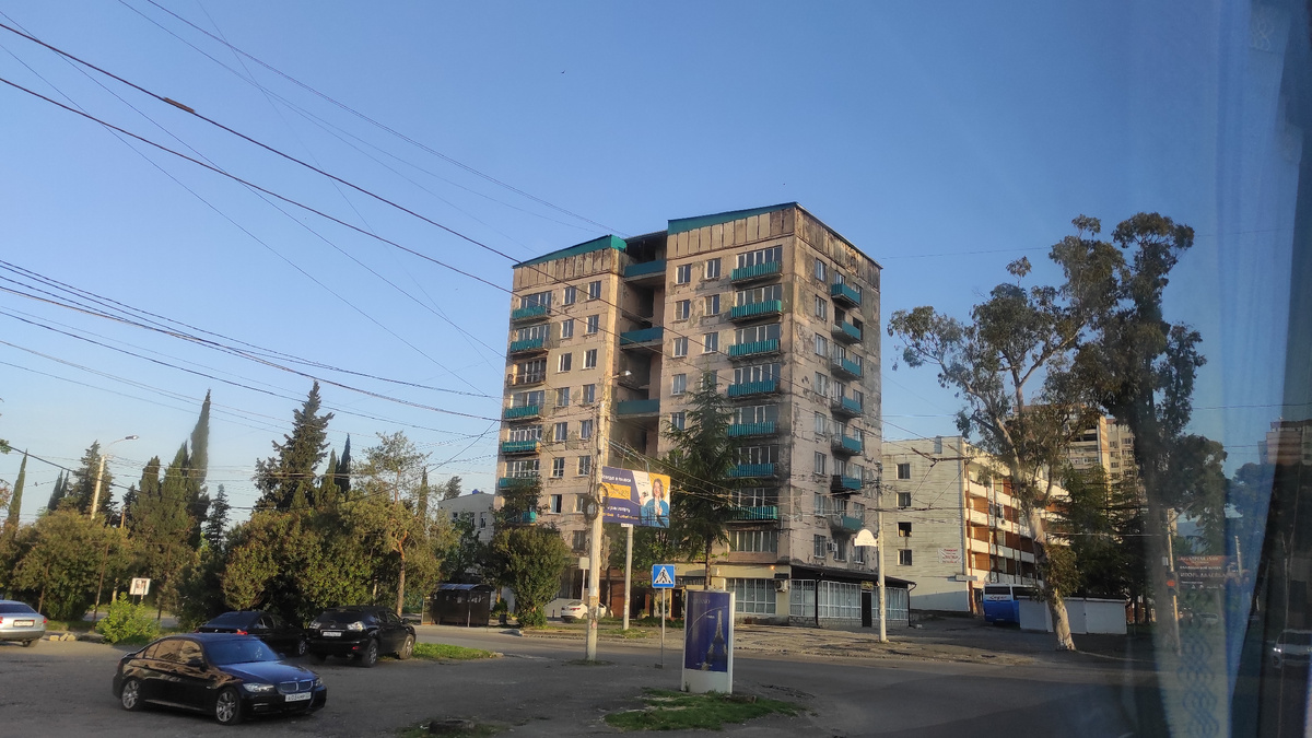 Клопы лезут в дома, чтобы перезимовать. Фото: Кирилл Полиенко/Polienko: путешествуем вдвоём