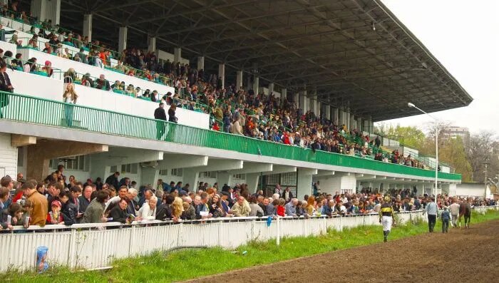 //Фото: сайт Ростовского ипподрома