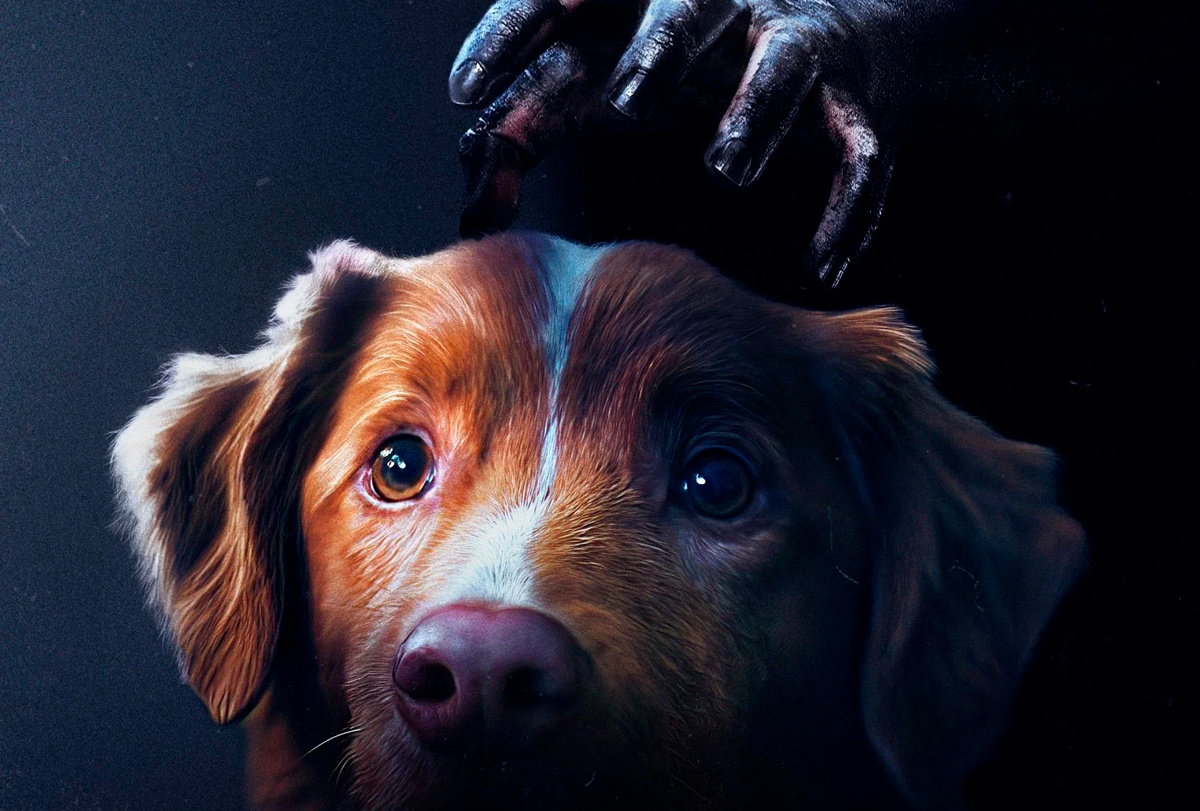 «Глазами пса» (Good Boy)