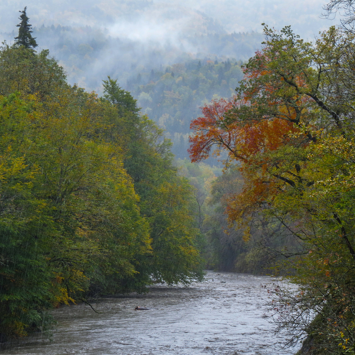 Здесь и далее фото автора, 10.10.2025 г.