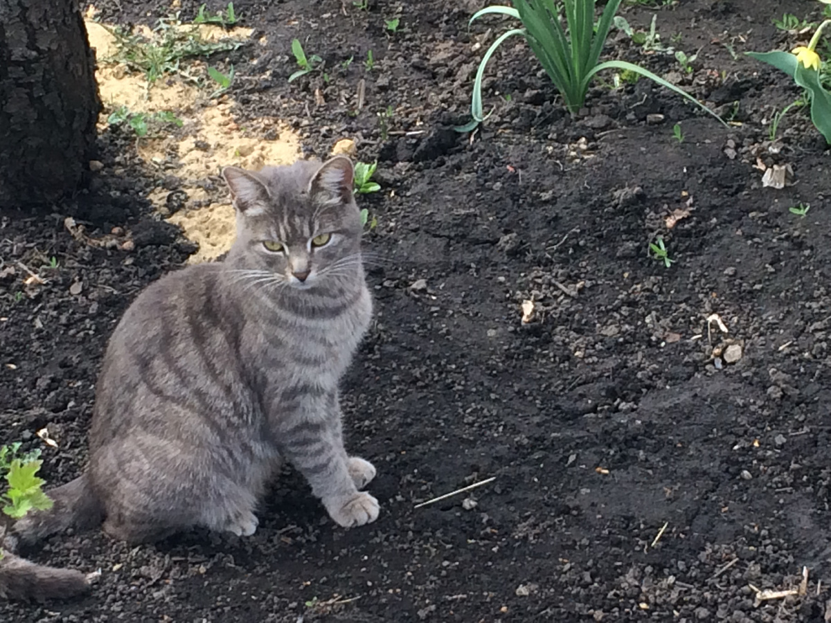 мусильда Людиловна моя