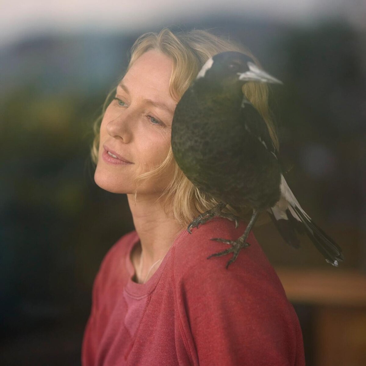 «История семьи Блум». Фото: кадр из фильма