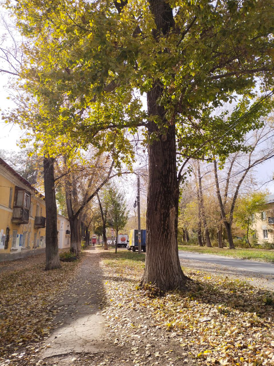 Пошла на рынок, а на улице опять лето включили. Аж жарко было!