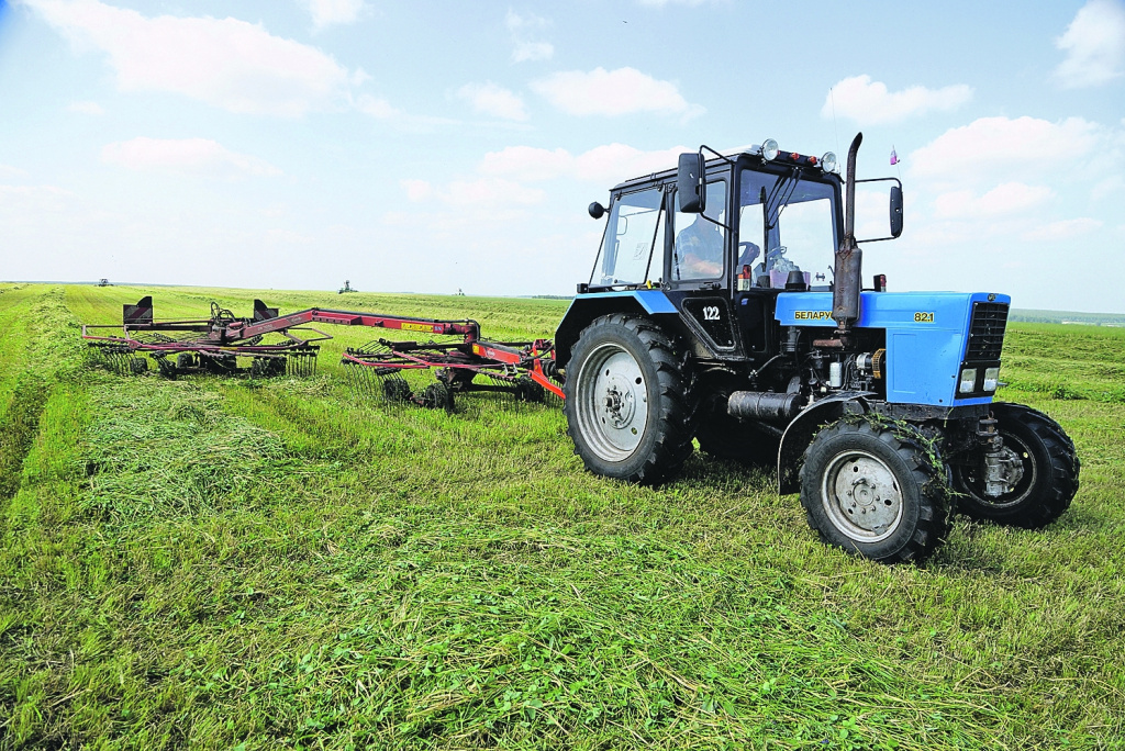 Без белорусской техники трудно представить сельскохозяйственный пейзаж. Фото: Алексей БУЛАТОВ/kpmedia.ru
