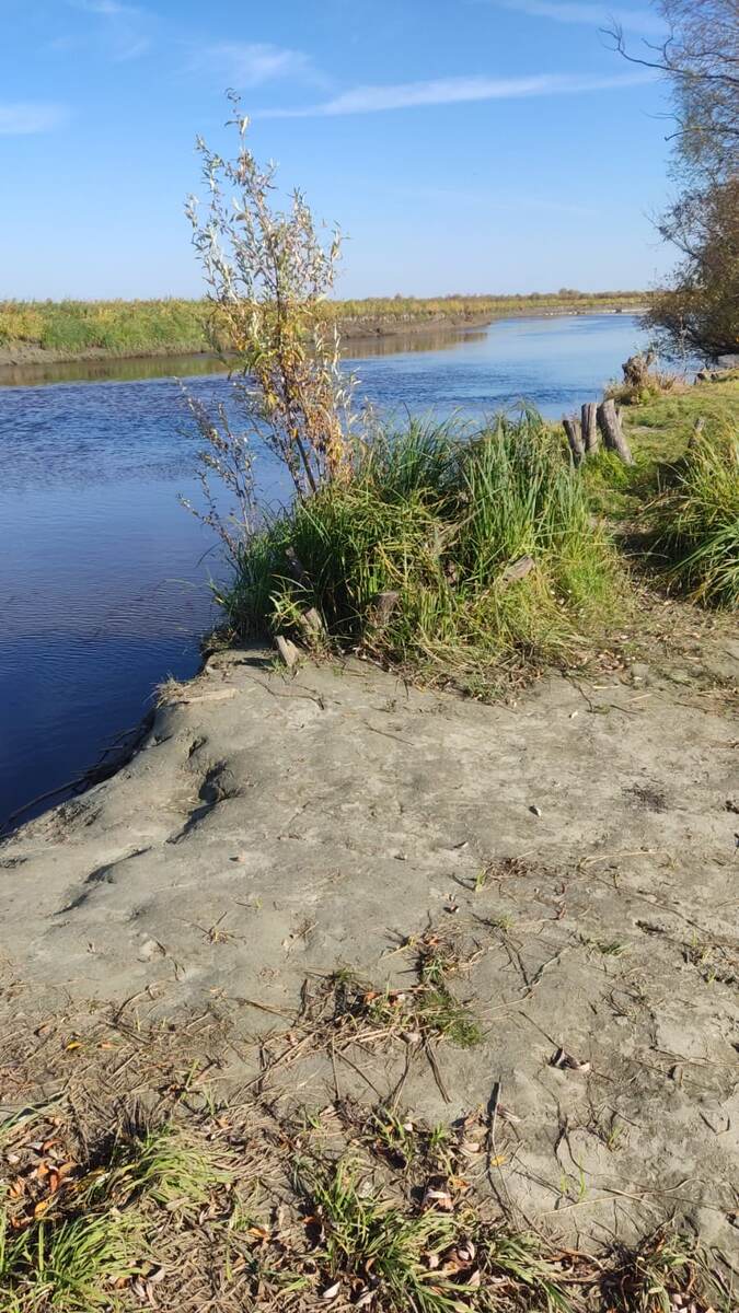 Фото племянника Максима