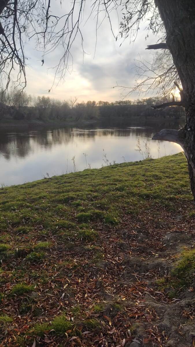 Вечер над Омкой.