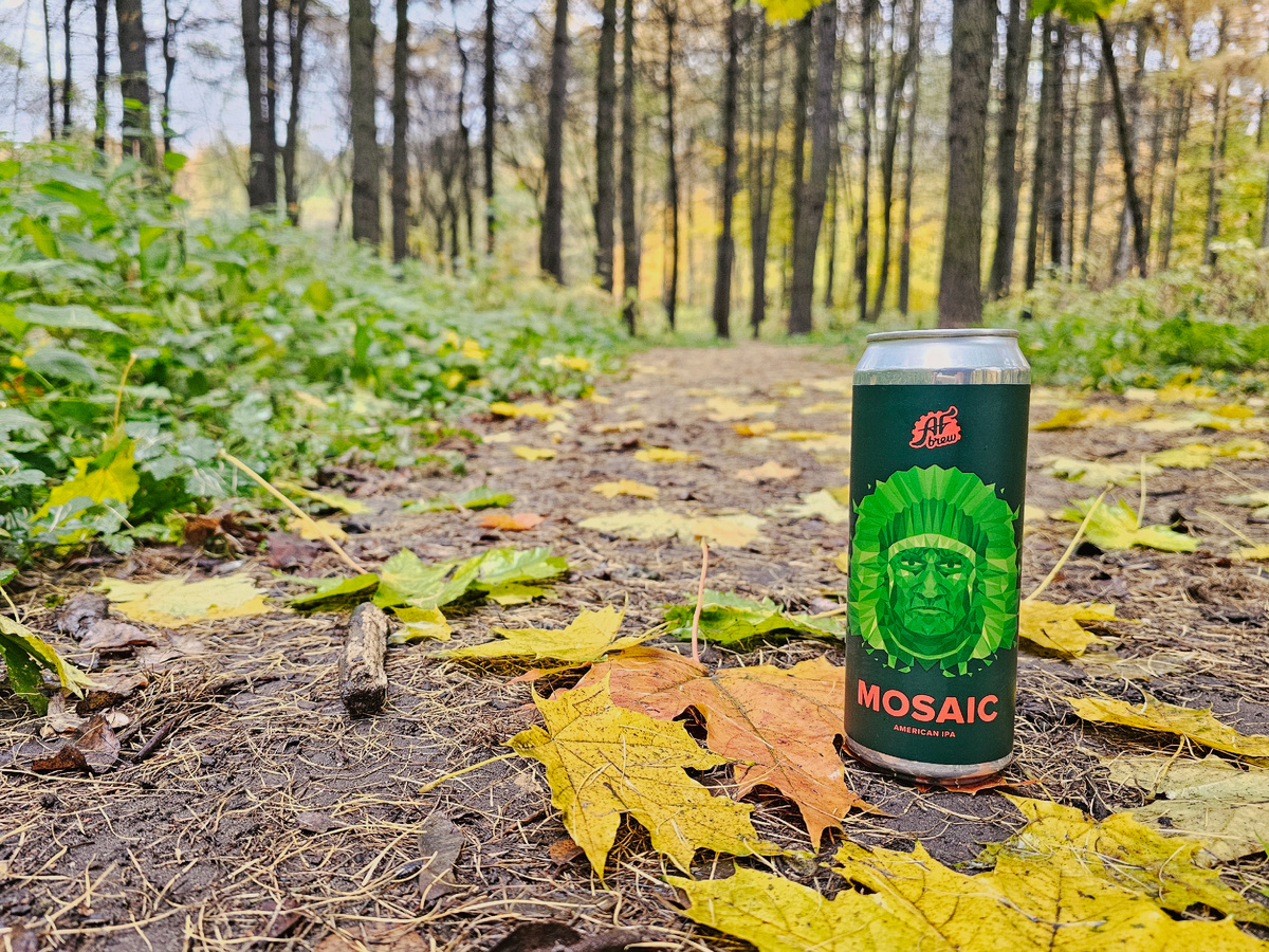 Mosaic, фото автора