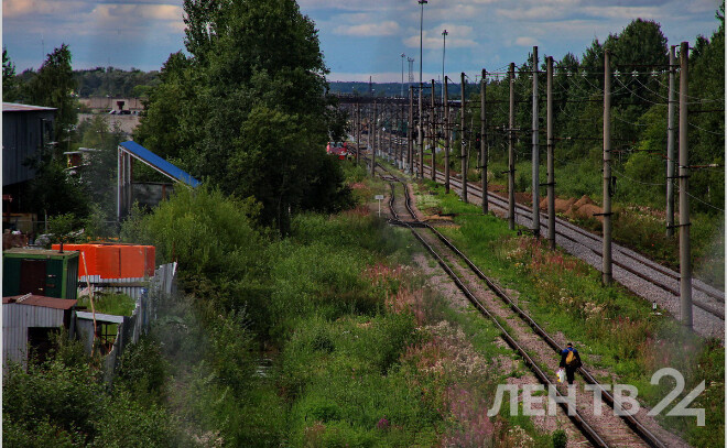    © Анастасия Илюшина / ЛенТВ24, архивное фото