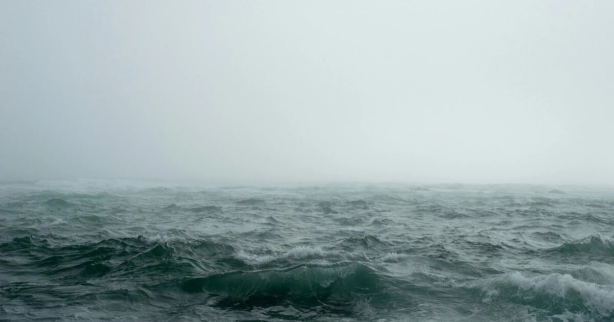 Фото: JOHN TOWNER / Unsplash
