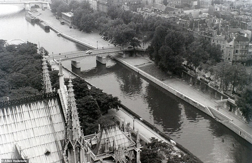 Аллан Хейлстоун. Париж 50-х 