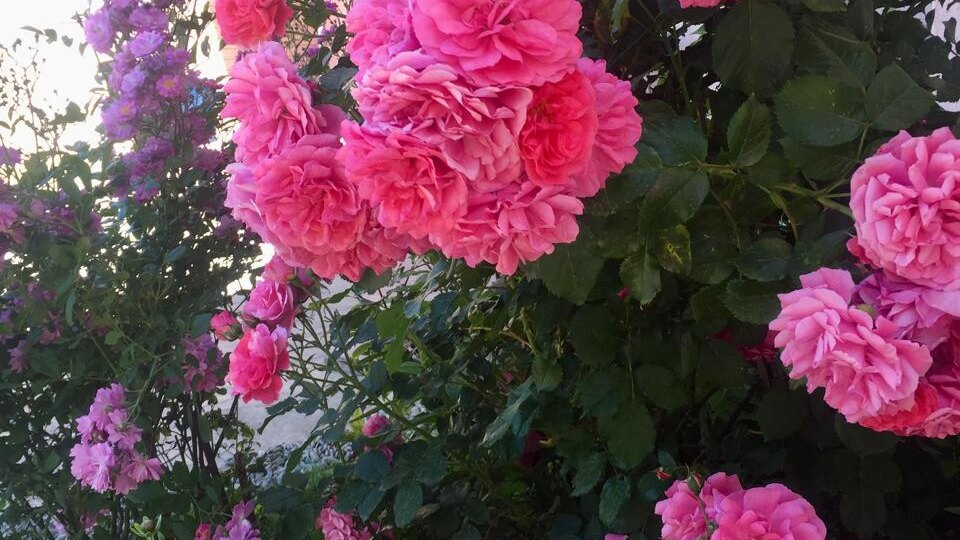 Сукко — что это за место