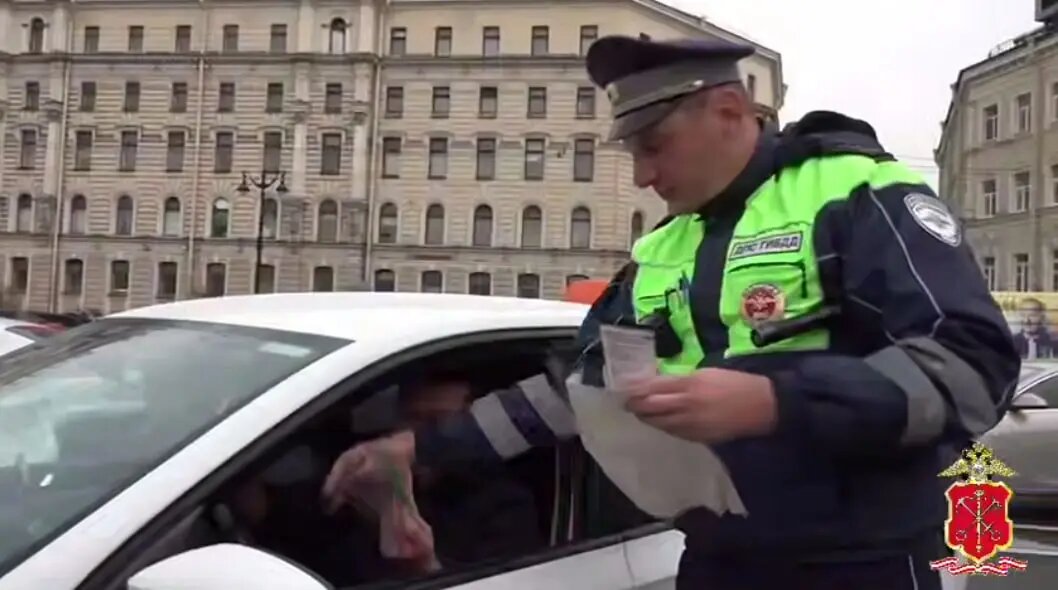    Фото: скриншот из видео пресс-службы ГУ МВД России по Петербургу и Ленобласти