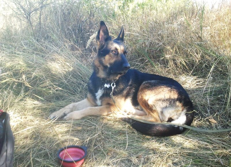 Фото автора