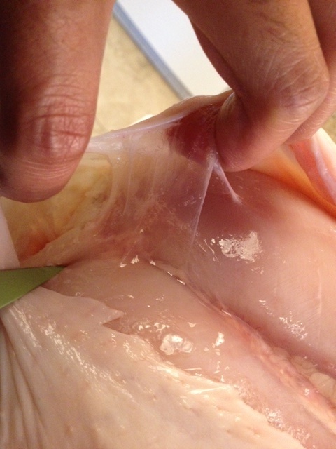 Полупрозрачные плёнки на мышцах, как пример поверхностной фасции.