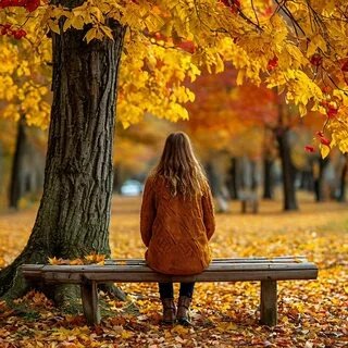 Яндекс картинки.