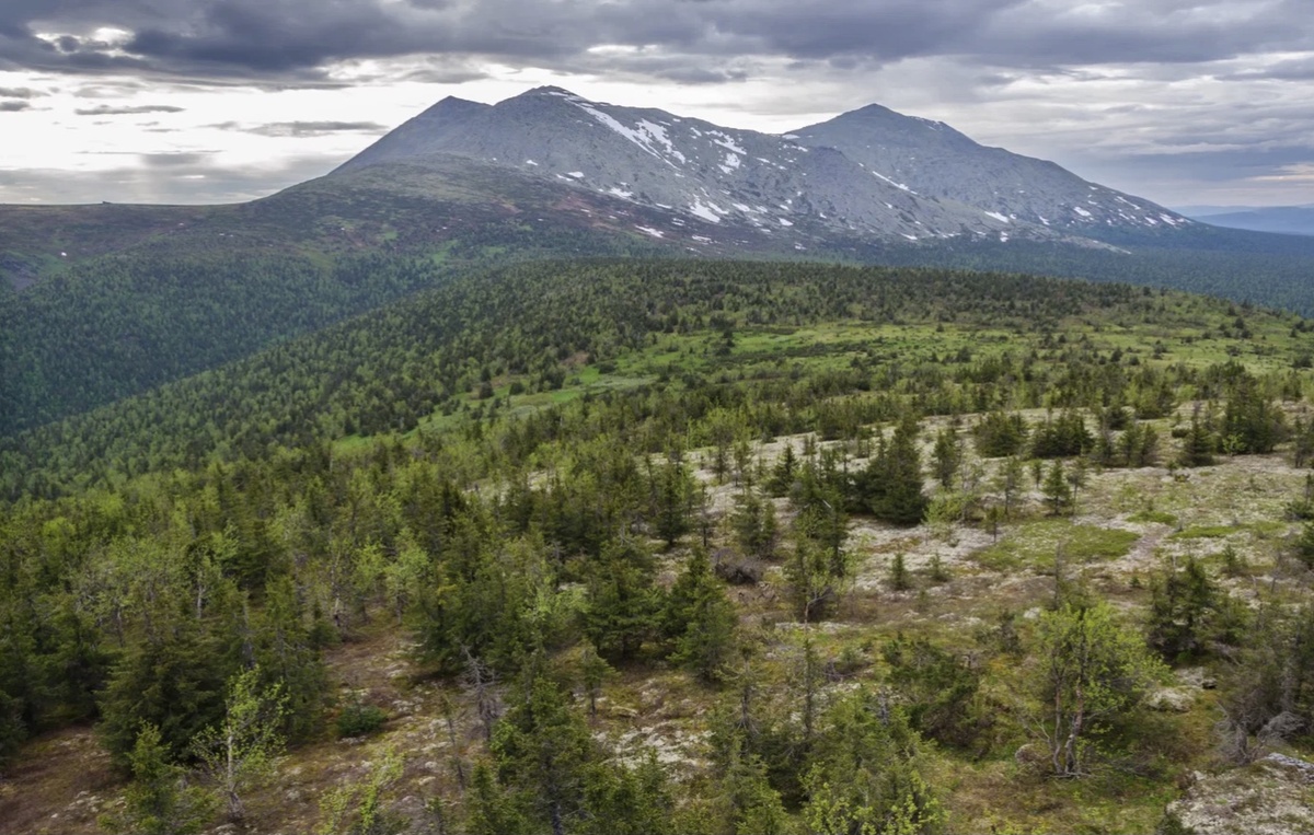 Фото взято с Яндекс.Картинки