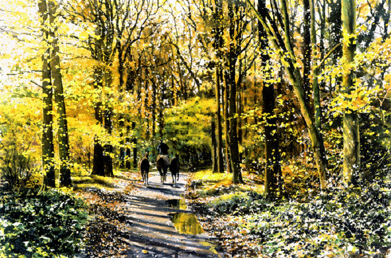 Художник Джо Фрэнсис Дауден