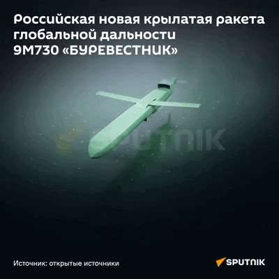    Инфографика SPUTNIK