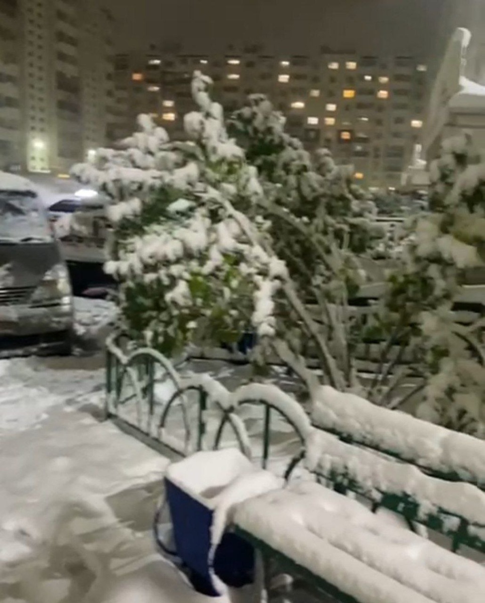 Снежного Омска клочок вам в ленту