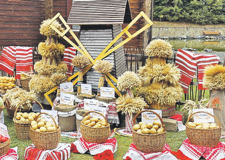 Фото: Светлана КАМЕКА