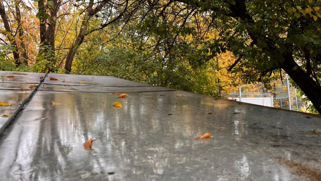   Фото: Г. Ященко. Газета "Земля"