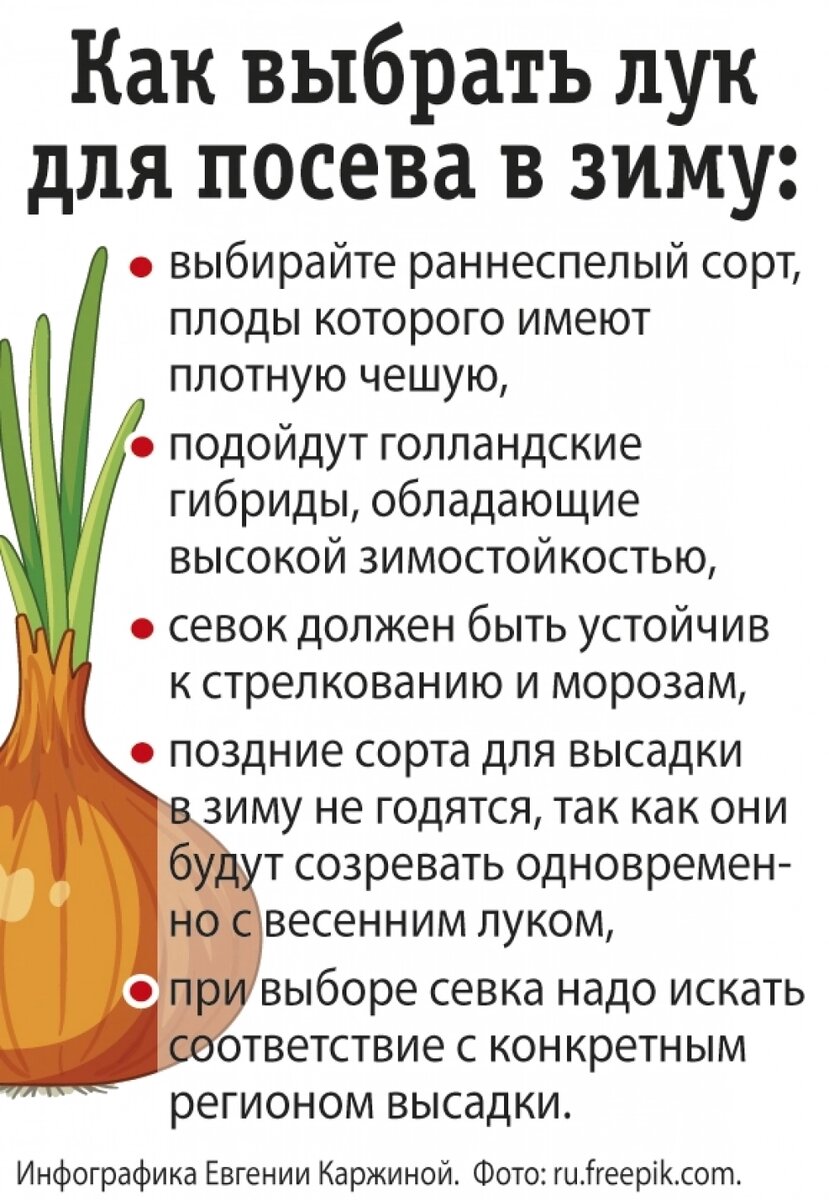    Фото: АиФ/ Евгения Каржина