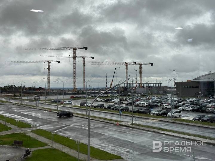    Приобретенные угодья — это ранее пустовавшая территория по соседству с терминалом 1А и парковкой аэропорта, где сейчас началась стройка нового терминала. Дмитрий Зайцев / realnoevremya.ru