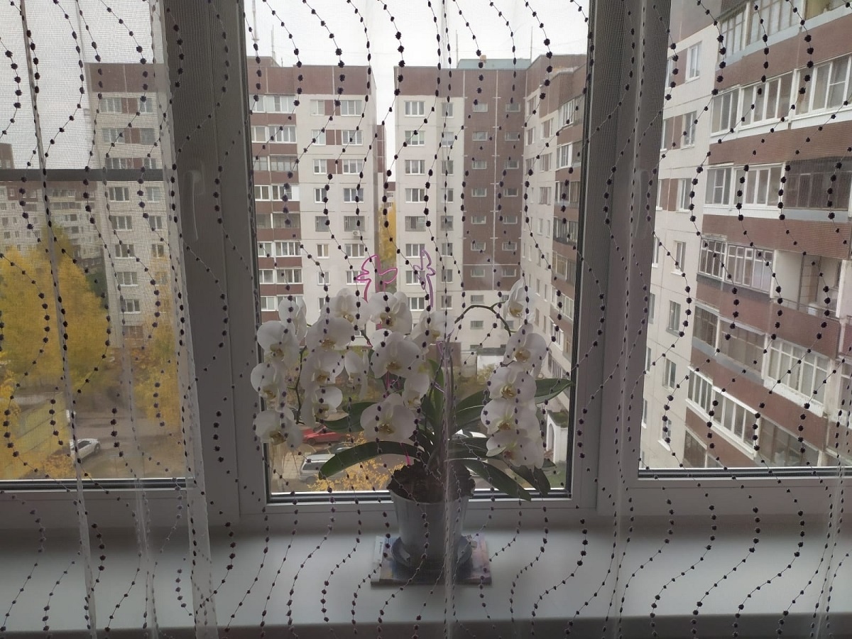    Старые шторы отбелятся без химии и станут как новые: соседка поделилась способом с солью и уксусом