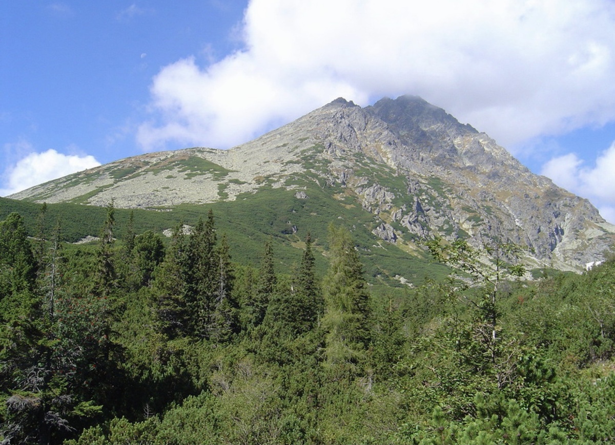 Фото с Яндекс.Картинки