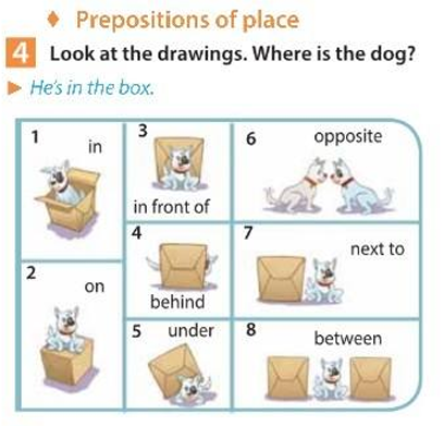 Я использую любые картинки из учебника для этого задания.
