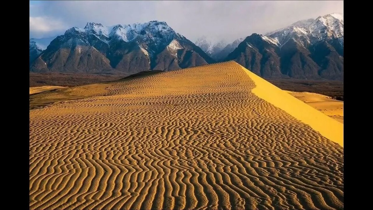 Фото из открытых источников 