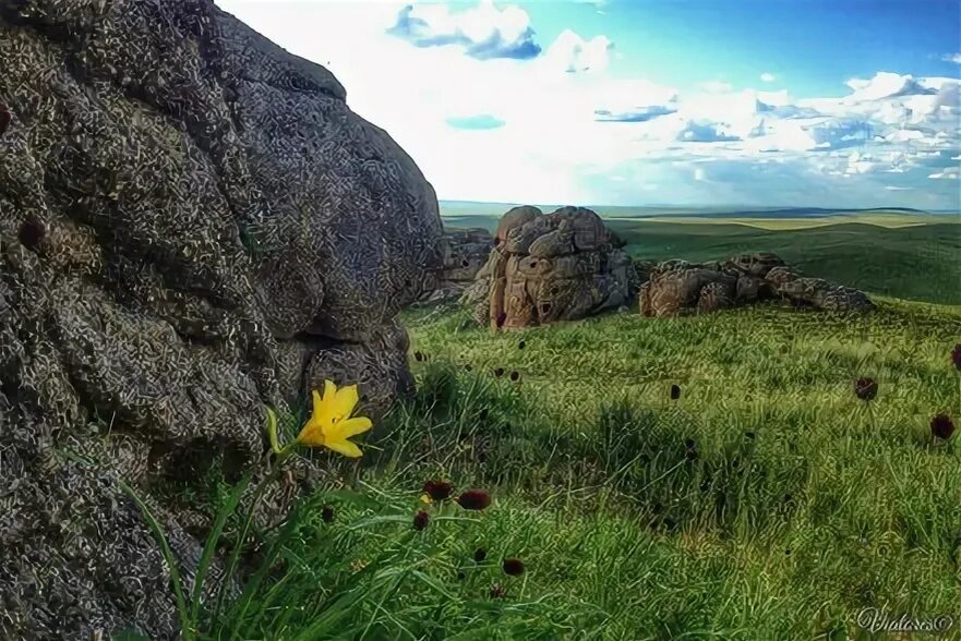 Фото из открытых источников 