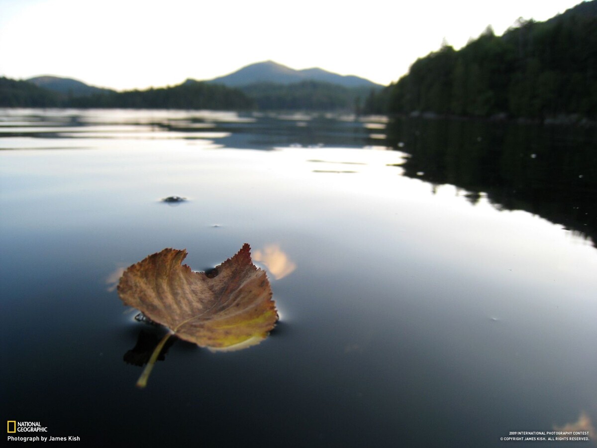 Изображение из открытых источников