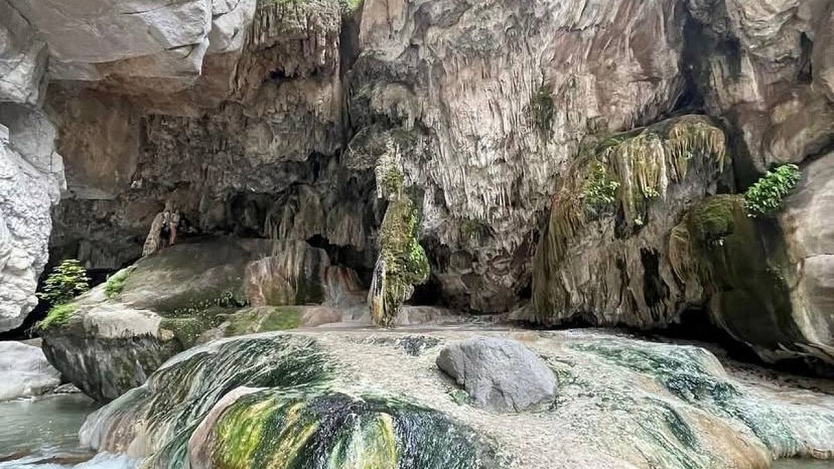    Фото: телеканал «Краснодар»