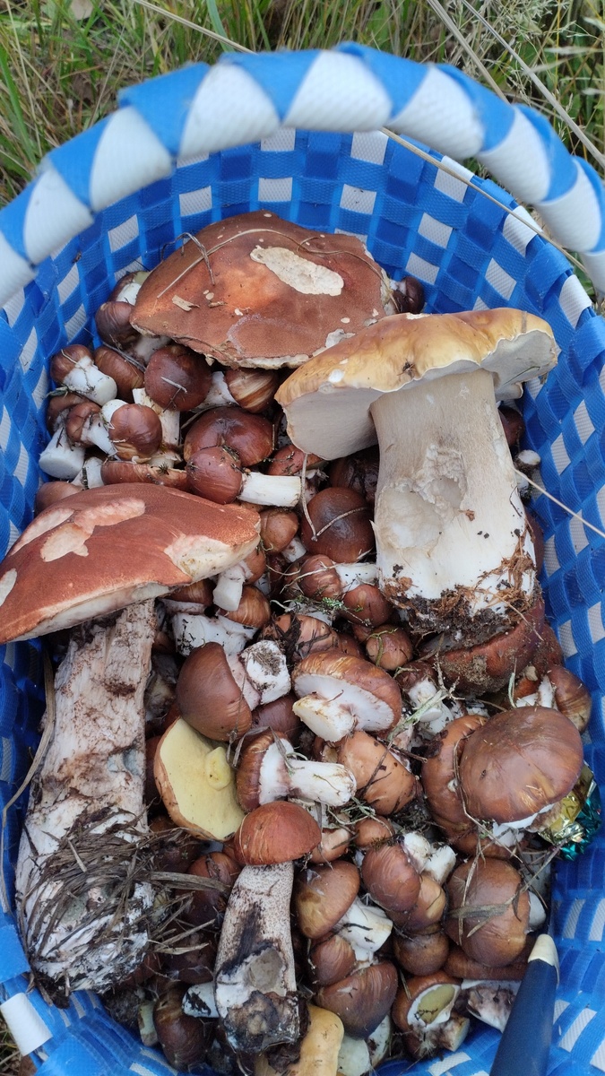 Фото Татьяны Руденко