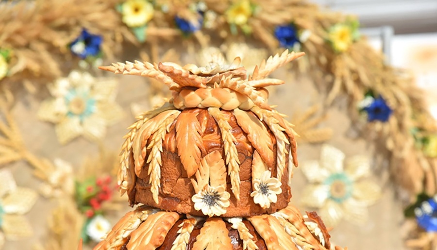     Поздравление с районным праздником "Дажынкі-2025" от члена Совета Республики Национального собрания Республики Беларусь Елены Журавлевой